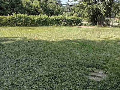 Lawn Care service in Shreveport, 71107