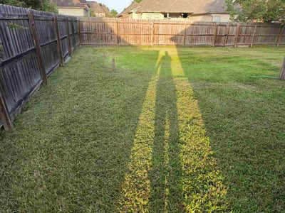 Lawn Care service in Zachary, 70791