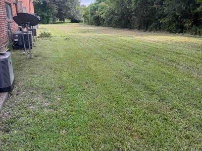 Lawn Care service in Walker, 70785