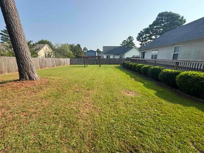 Lawn Care service in Garden Grove, 92843