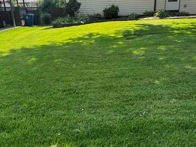 Lawn Care service in Decatur, 62523