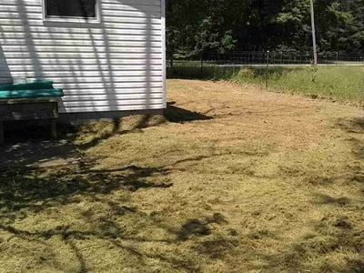 Lawn Care service in Laguna Beach, 92651