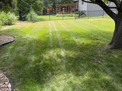 Lawn Care service in Newton, 67114