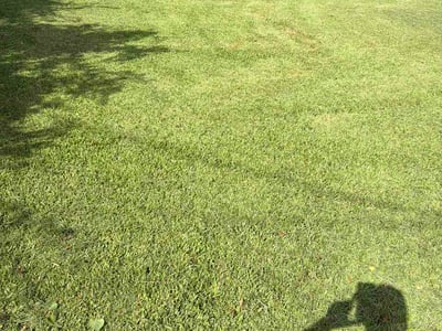 Lawn Care service in Plaquemine, 70764