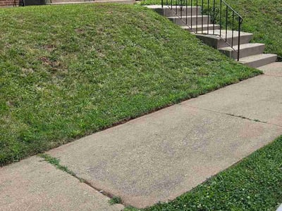 Lawn Care service in Norristown, 19401