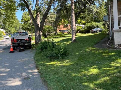 Lawn Care service in Norristown, 19401