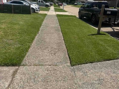 Lawn Care service in Metairie, 70001