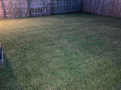 Lawn Care service in Harvey, 70058