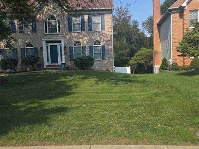 Lawn Care service in College Park, 20742