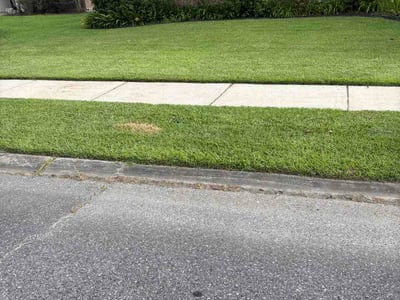 Lawn Care service in Jackson, 70748