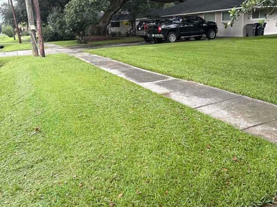 Lawn Care service in Jackson, 70748