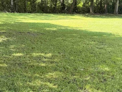 Lawn Care service in Breaux Bridge, 70517