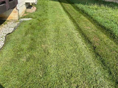 Lawn Care service in Charles Town, 25414