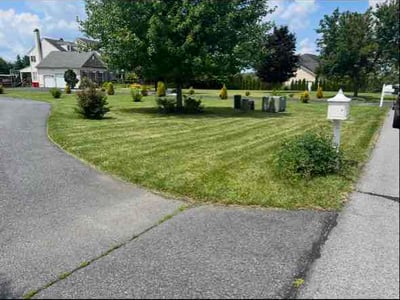 Lawn Care service in Nazareth, 18064