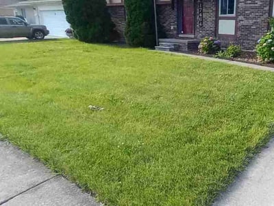 Lawn Care service in Port Huron, 48060