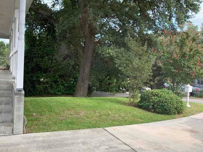 Lawn Care service in Burke, 22015