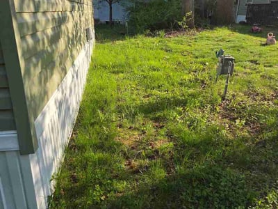 Lawn Care service in Claymont, 19703