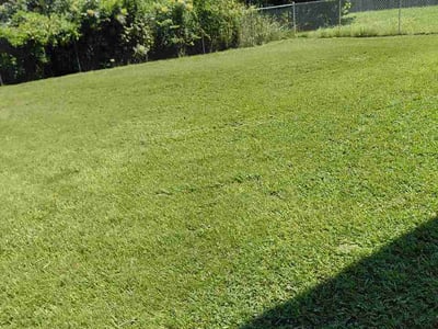Lawn Care service in Cleveland, 37311