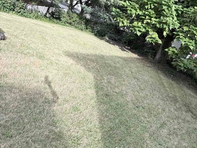 Lawn Care service in Oxon Hill, 20745