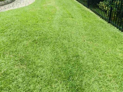 Lawn Care service in Mount Holly, 28120