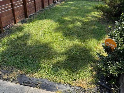 Lawn Care service in Zionsville, 46077