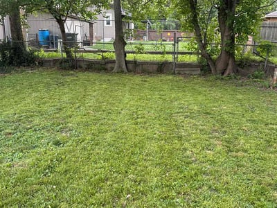 Lawn Care service in Hellertown, 18055