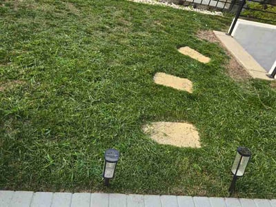 Lawn Care service in Lorton, 22079