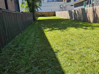 Lawn Care service in Lorton, 22079
