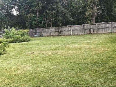 Lawn Care service in Waldorf, 20603
