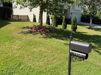 Lawn Care service in La Puente, 91744