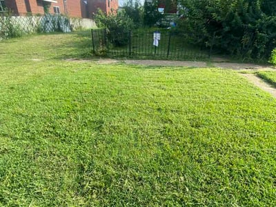 Lawn Care service in La Puente, 91744