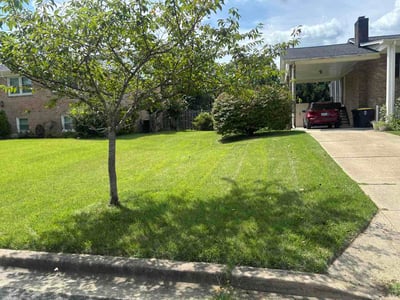 Lawn Care service in Fort Washington, 20744