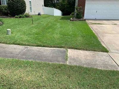 Lawn Care service in Cornelius, 28031