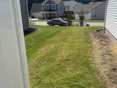 Lawn Care service in Eden, 27288