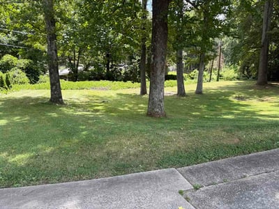 Lawn Care service in Denver, 28037