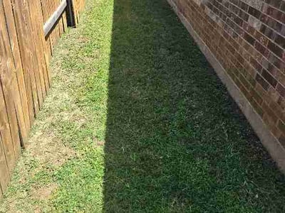 Lawn Care service in Santa Monica, 90401
