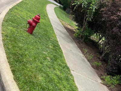 Lawn Care service in Kent, 98032