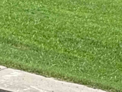 Lawn Care service in Wagoner, 74467