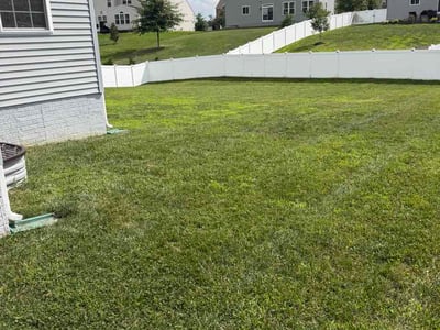 Lawn Care service in Upper Marlboro, 20772