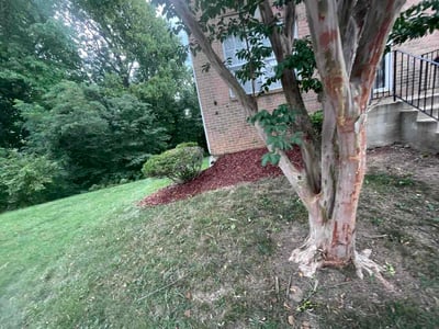 Lawn Care service in Upper Marlboro, 20772