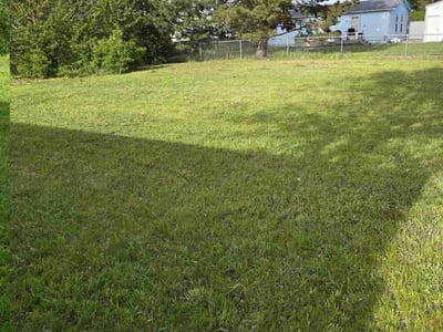 Lawn Care service in Mount Vernon, 98273