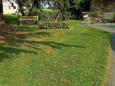 Lawn Care service in Lititz, 17543