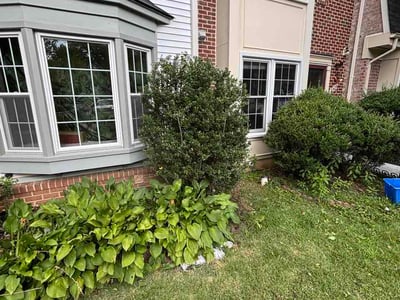 Lawn Care service in Gaithersburg, 20877