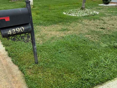 Lawn Care service in Winston Salem, 27101