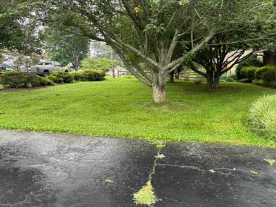 Lawn Care service in Winston Salem, 27101