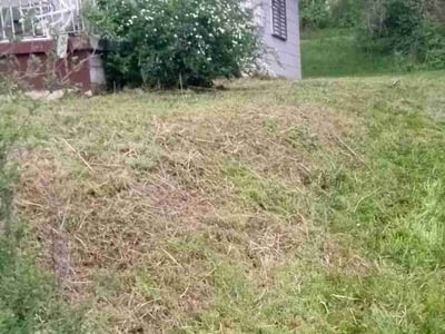 Lawn Care service in Gig Harbor, 98335