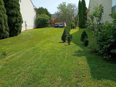Lawn Care service in Gainesville, 20155