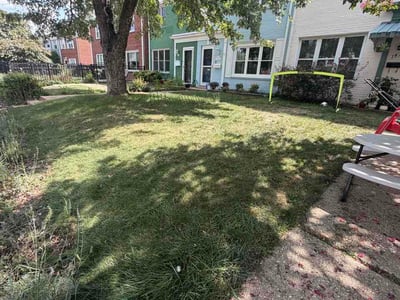 Lawn Care service in Gainesville, 20155