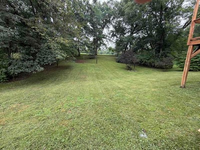 Lawn Care service in Hendersonville, 28792