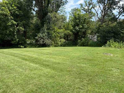 Lawn Care service in Hendersonville, 28792